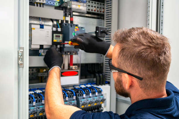 Best Electrical Panel Upgrades  in Allardt, TN